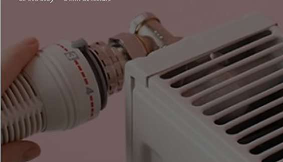 Radiateur et tête thermostatique